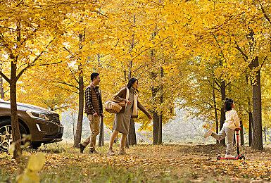 投桃报李 《小丑牌》开发者推荐多款优秀独立游戏作品